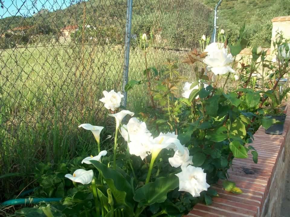Los Toneles Puerto de Santa Cruz Εξωτερικό φωτογραφία