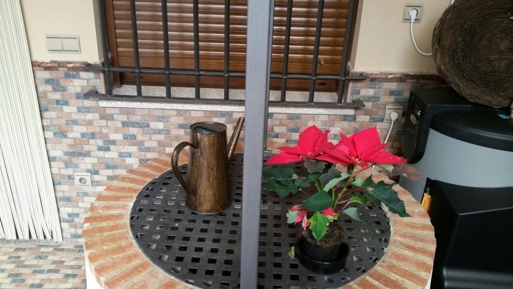 Los Toneles Puerto de Santa Cruz Εξωτερικό φωτογραφία