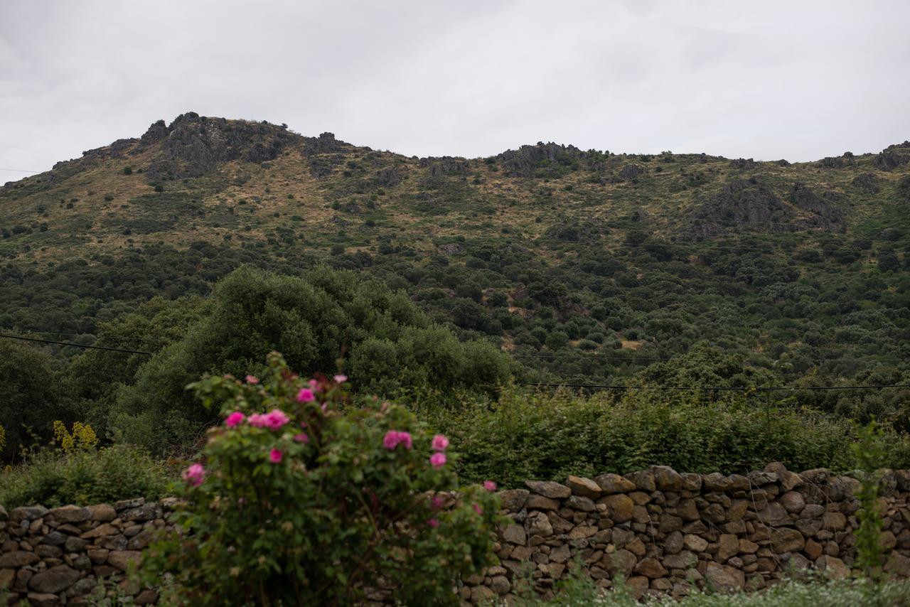 Los Toneles Puerto de Santa Cruz Εξωτερικό φωτογραφία